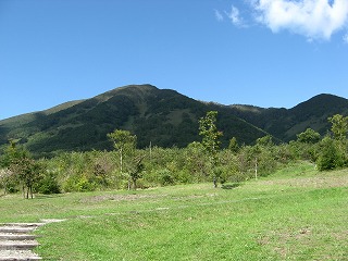 IMG_0056.jpg